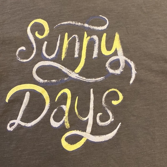 Wildfox Sunny Days graphic tee shirt sleeve gray size XL - Picture 3 of 4